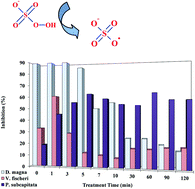 Graphical abstract: Degradation and toxicity assessment of the nonionic surfactant Triton™ X-45 by the peroxymonosulfate/UV-C process