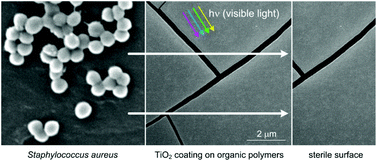 Graphical abstract: Visible light induced photocatalytic inactivation of bacteria by modified titanium dioxide films on organic polymers