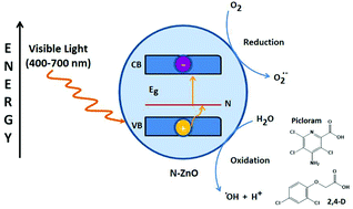 Graphical abstract: Synthesis of nitrogen-doped ZnO by sol–gel method: characterization and its application on visible photocatalytic degradation of 2,4-D and picloram herbicides