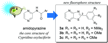 Graphical abstract: Substituent effects on fluorescence properties of thiazolo[4,5-b]pyrazine derivatives