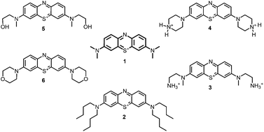 Graphical abstract: A novel set of symmetric methylene blue derivatives exhibits effective bacteria photokilling – a structure–response study