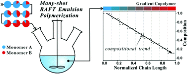 Graphical abstract: Tailor-made compositional gradient copolymer by a many-shot RAFT emulsion polymerization method