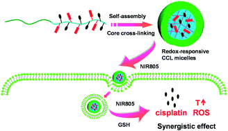 Graphical abstract: Redox-responsive core cross-linked micelles based on cypate and cisplatin prodrugs-conjugated block copolymers for synergistic photothermal–chemotherapy of cancer