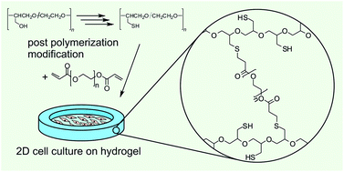 Graphical abstract: Side chain thiol-functionalized poly(ethylene glycol) by post-polymerization modification of hydroxyl groups: synthesis, crosslinking and inkjet printing