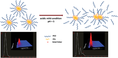 Graphical abstract: Novel poly(ethylene oxide monomethyl ether)-b-poly(ε-caprolactone) diblock copolymers containing a pH-acid labile ketal group as a block linkage
