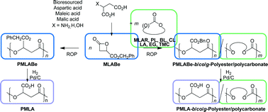 Graphical abstract: Benzyl β-malolactonate polymers: a long story with recent advances