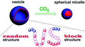 Graphical abstract: CO2-driven vesicle to micelle regulation of amphiphilic copolymer: random versus block strategy