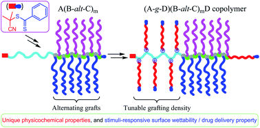 Graphical abstract: Synthesis and properties of heterografted toothbrush-like copolymers with alternating PEG and PCL grafts and tunable RAFT-generated segments