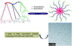 Graphical abstract: Trehalose-functionalized block copolymers form serum-stable micelles