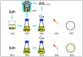 Graphical abstract: Facile and material-independent fabrication of poly(luteolin) coatings and their unimpaired antibacterial activity against Staphylococcus aureus after steam sterilization treatments