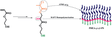 Graphical abstract: The first amphiphilic graft copolymer bearing a hydrophilic poly(2-hydroxylethyl acrylate) backbone synthesized by successive RAFT and ATRP