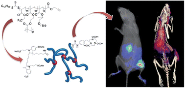 Graphical abstract: Synthesis of a multimodal molecular imaging probe based on a hyperbranched polymer architecture