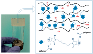 Graphical abstract: Tandem ATRP/Diels–Alder synthesis of polyHEMA-based hydrogels