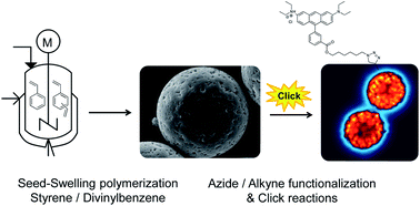 Graphical abstract: Macroporous uniform azide- and alkyne-functional polymer microspheres with tuneable surface area: synthesis, in-depth characterization and click-modification