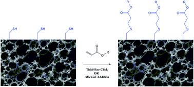 Graphical abstract: Chemical functionalization of emulsion-templated porous polymers by thiol–ene “click” chemistry
