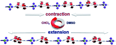 Graphical abstract: Construction of muscle-like metallo-supramolecular polymers from a pillar[5]arene-based [c2]daisy chain