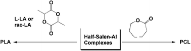 Graphical abstract: Synthesis and characterization of half-salen complexes and their application in the polymerization of lactide and ε-caprolactone