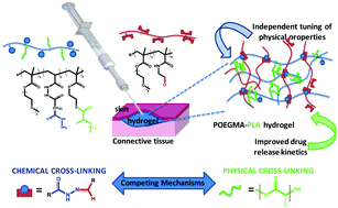 Graphical abstract: Injectable hydrogels with in situ-forming hydrophobic domains: oligo(d,l-lactide) modified poly(oligoethylene glycol methacrylate) hydrogels