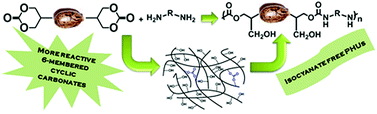 Graphical abstract: Fatty acid-based (bis) 6-membered cyclic carbonates as efficient isocyanate free poly(hydroxyurethane) precursors
