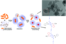 Graphical abstract: CdS nanorods assisted thermal oxidation of polythiol segments of PS-b-polythiols to produce core cross-linking micellar clusters
