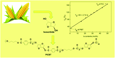 Graphical abstract: A high-molecular-weight and high-Tg poly(ester carbonate) partially based on isosorbide: synthesis and structure–property relationships