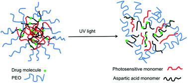 Graphical abstract: Photodegradable poly(ester amide)s for indirect light-triggered release of paclitaxel