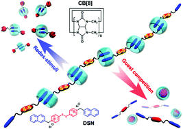 Graphical abstract: Supramolecular polymers bearing disulfide bonds