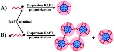 Graphical abstract: Dispersion RAFT polymerization: comparison between the monofunctional and bifunctional macromolecular RAFT agents
