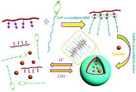 Graphical abstract: A pH-responsive amphiphilic supramolecular graft copolymer constructed by crown ether based molecular recognition