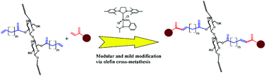 Graphical abstract: Olefin cross-metathesis, a mild, modular approach to functionalized cellulose esters