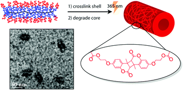 Graphical abstract: Cylindrical nanocapsules from photo-cross-linkable core–shell bottlebrush copolymers