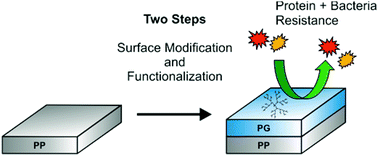 Graphical abstract: Polyglycerol coated polypropylene surfaces for protein and bacteria resistance