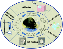 Graphical abstract: Mussel-inspired hydrogels for biomedical and environmental applications