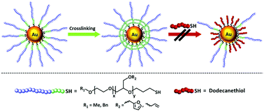 Graphical abstract: Amphiphilic polyether-based block copolymers as crosslinkable ligands for Au-nanoparticles