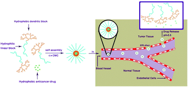 Graphical abstract: Supramolecular anticancer drug delivery systems based on linear–dendritic copolymers