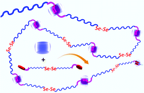 Graphical abstract: Amphiphilic diselenide-containing supramolecular polymers