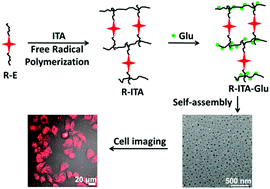 Graphical abstract: Red fluorescent cross-linked glycopolymer nanoparticles based on aggregation induced emission dyes for cell imaging