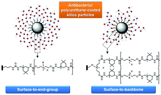 Graphical abstract: Polyurethane-coated silica particles with broad-spectrum antibacterial properties