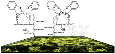Graphical abstract: Novel functionalization of porous polypropylene microfiltration membranes: via grafted poly(aminoethyl methacrylate) anchored Schiff bases toward membrane adsorbers for metal ions