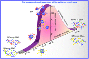 Graphical abstract: Thermoresponsive self-assembled NiPAm-zwitterion copolymers