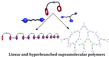 Graphical abstract: Well-defined supramolecular polymers based on orthogonal hydrogen-bonding and host–guest interactions