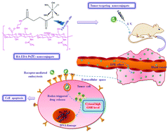 Graphical abstract: Tumor-targeting delivery of hyaluronic acid–platinum(iv) nanoconjugate to reduce toxicity and improve survival