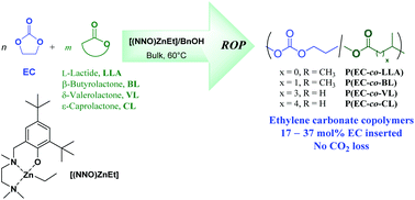 Graphical abstract: Ethylene carbonate/cyclic ester random copolymers synthesized by ring-opening polymerization