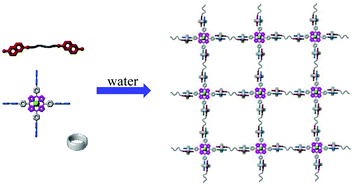 Graphical abstract: The construction of single-layer two-dimensional supramolecular organic frameworks in water through the self-assembly of rigid vertexes and flexible edges
