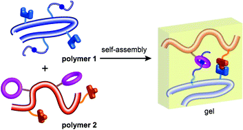 Graphical abstract: A double supramolecular crosslinked polymer gel exhibiting macroscale expansion and contraction behavior and multistimuli responsiveness