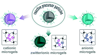Graphical abstract: A robust platform for functional microgels via thiol–ene chemistry with reactive polyether-based nanoparticles