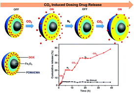 Graphical abstract: CO2-switchable drug release from magneto-polymeric nanohybrids