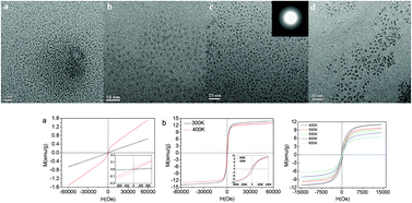 Graphical abstract: Ultrasmall and monodisperse colloidal amorphous Nd–Fe–B–Na magnetic nanoparticles with high TC