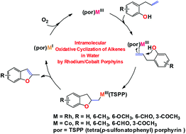 Graphical abstract: Intramolecular oxidative cyclization of alkenes by rhodium/cobalt porphyrins in water