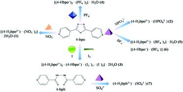 Graphical abstract: Inorganic anion-assisted supramolecular assemblies of bent dipyridines: effects of anionic geometries on hydrogen-bonding networks